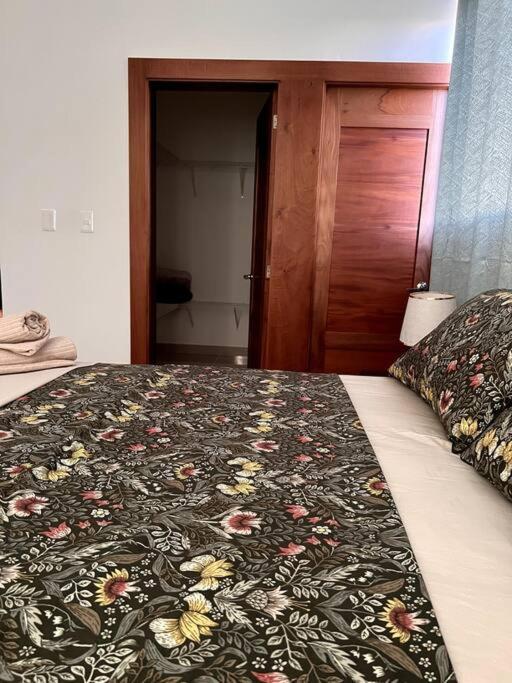Magnificent Pent House W/Jacuzzi Apartment Santiago De Los Caballeros Bagian luar foto