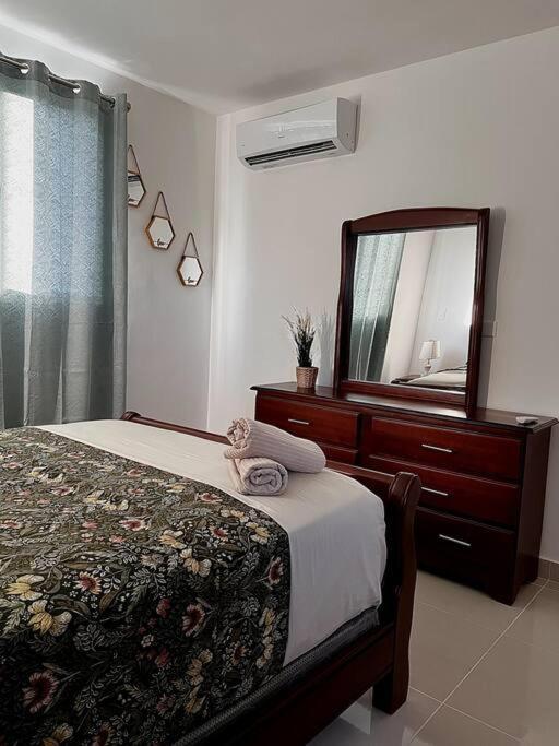 Magnificent Pent House W/Jacuzzi Apartment Santiago De Los Caballeros Bagian luar foto